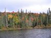 Algonquin_Park_01.jpg