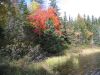 Algonquin_Park_02.jpg