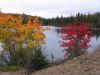 Algonquin_Park_03.jpg