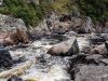 Agawa_2017-135008.jpg