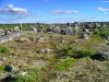 0627LC_Laco_at_Caribou_Rapids.jpg