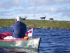 caribou_canoe_image_copy.png