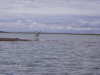 caribou_river_image.png