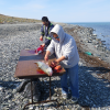 fish_cleaning_arctic_char_image.png